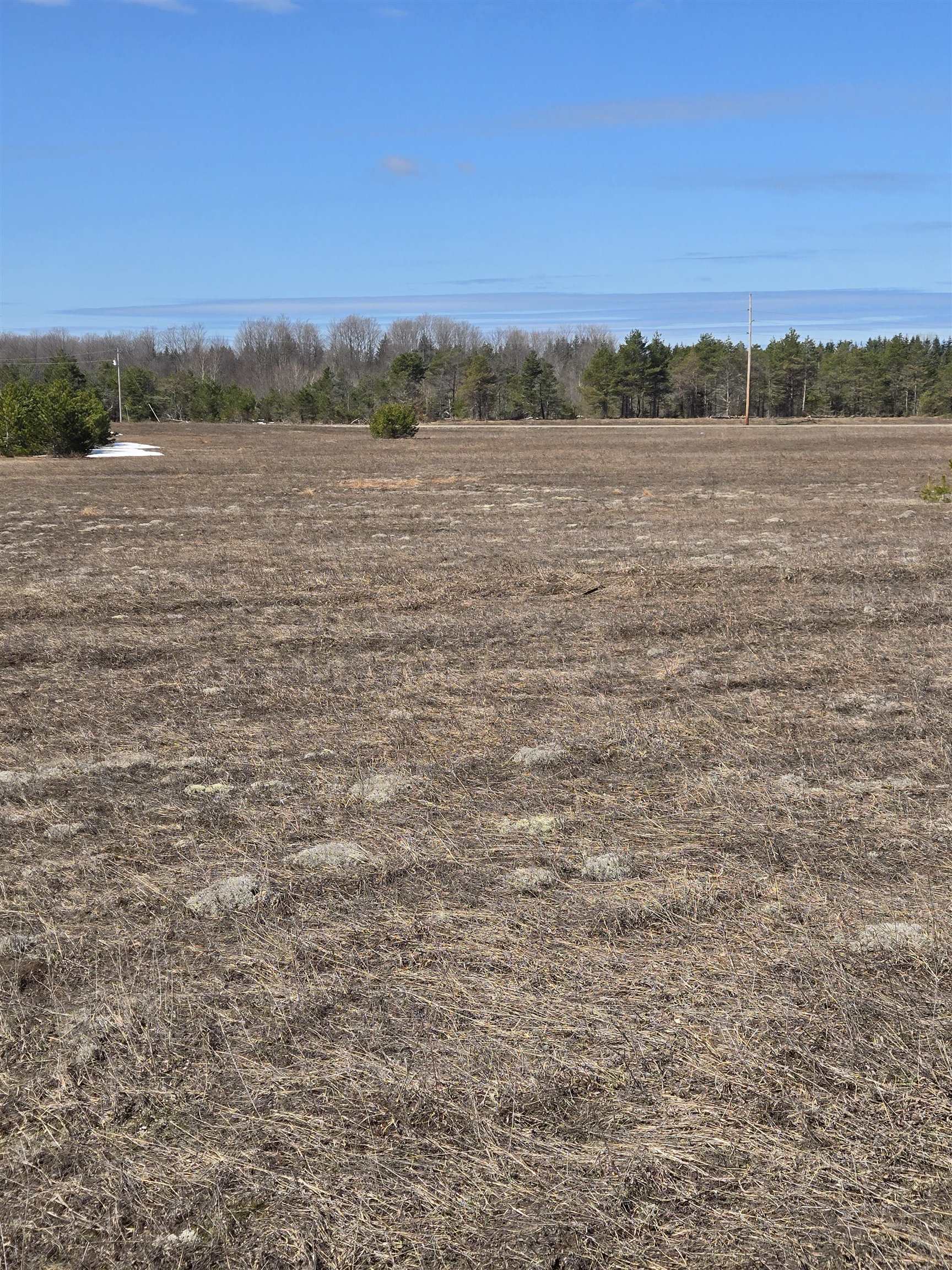 B Johnson Road, Unit LOT: B Mancelona, MI 49659 - Photo 11 of 48