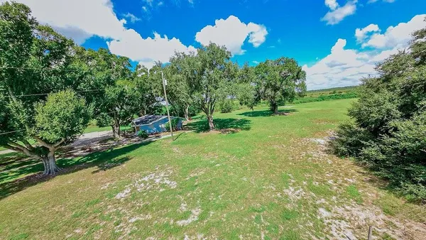 a view of a golf course with a tree