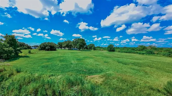 a view of a green yard