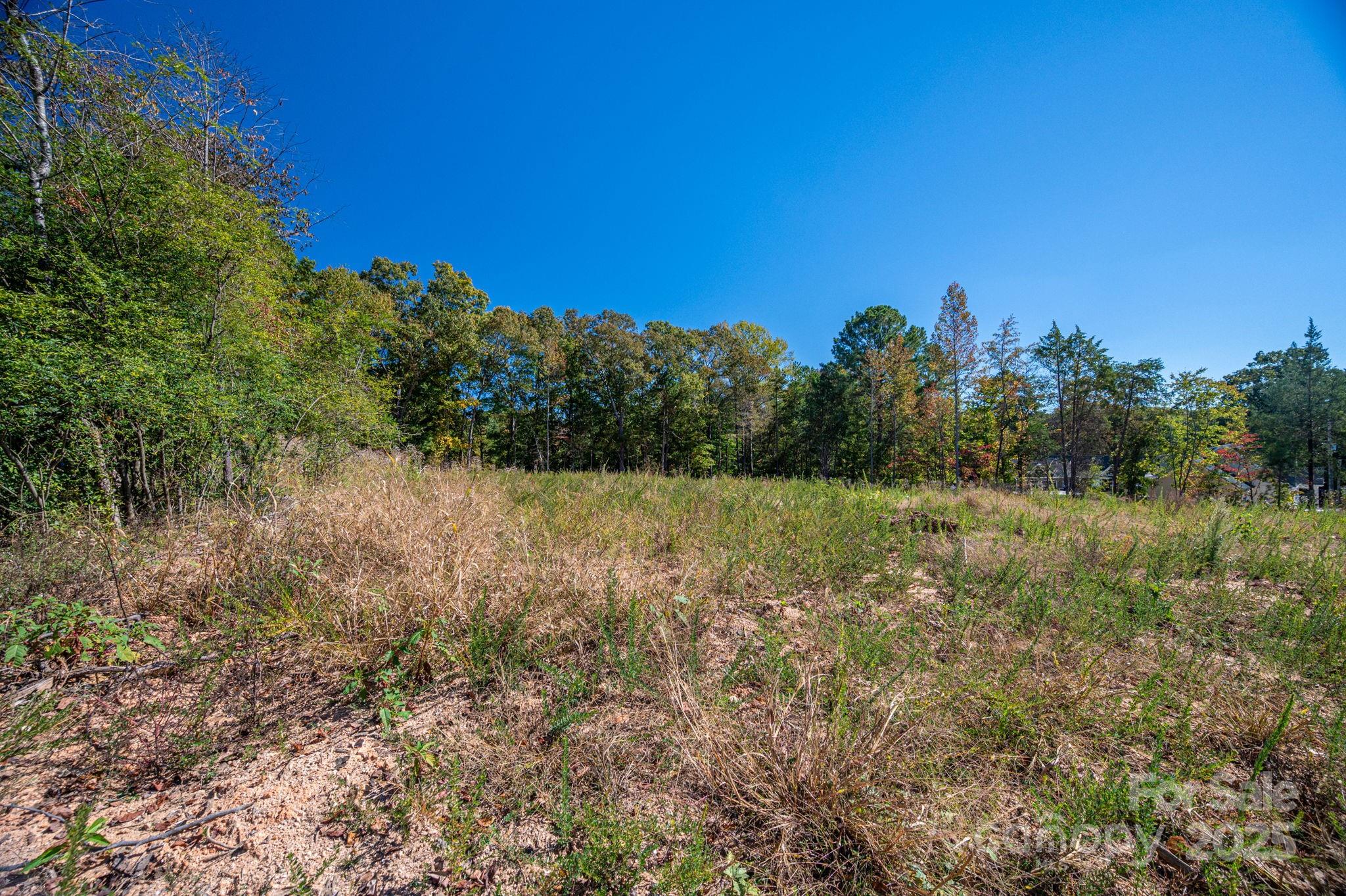 0 Harbor View Drive, Unit 2 Cherryville, NC 28021 - Photo 11 of 19 a view of a field of grass and trees