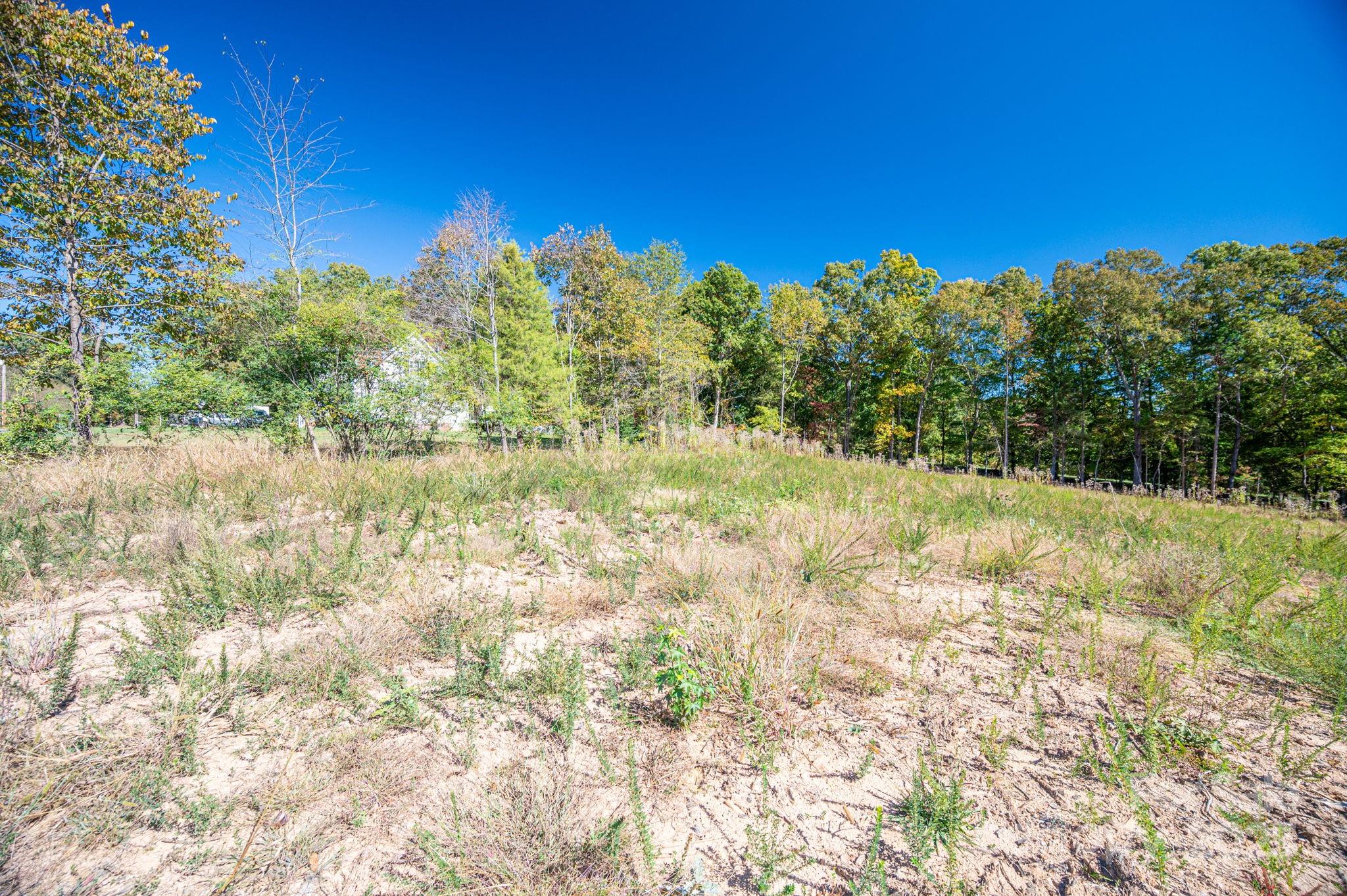 0 Harbor View Drive, Unit 2 Cherryville, NC 28021 - Photo 16 of 19 a view of a yard with trees in the background