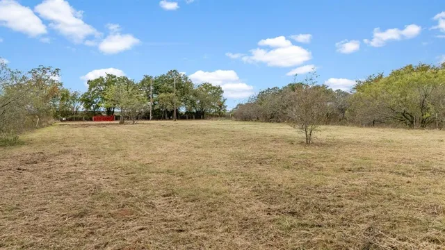 a view of a field with a tree in the background