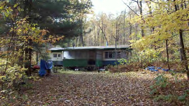 Main View