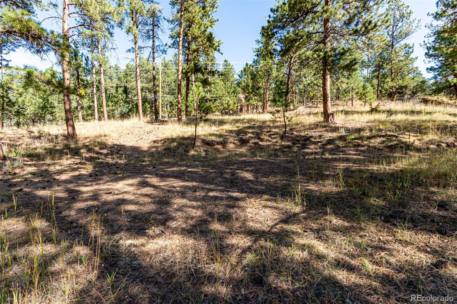 27406 Mountain Park Road Evergreen, CO 80439 - Photo 12 of 16