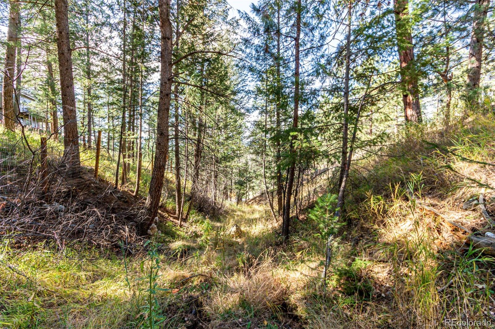 27406 Mountain Park Road Evergreen, CO 80439 - Photo 15 of 16
