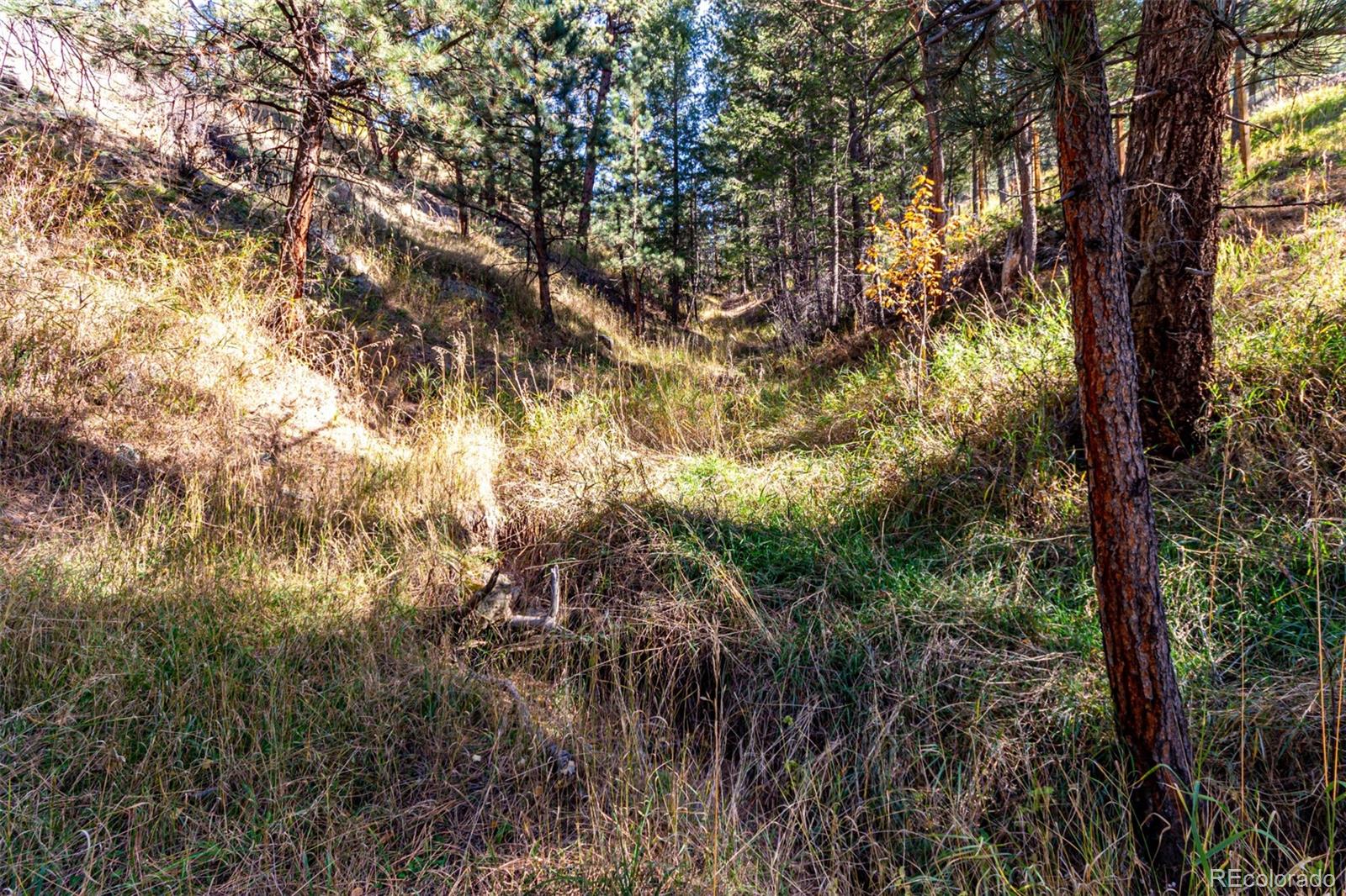 27406 Mountain Park Road Evergreen, CO 80439 - Photo 16 of 16