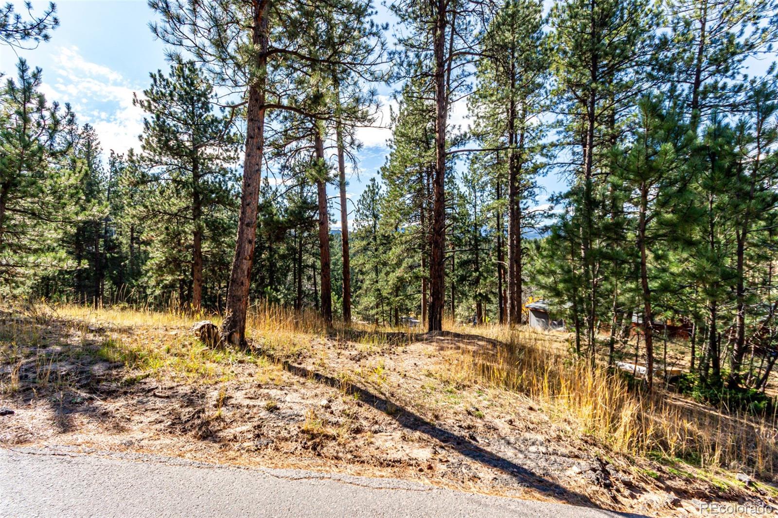 27406 Mountain Park Road Evergreen, CO 80439 - Photo 3 of 16