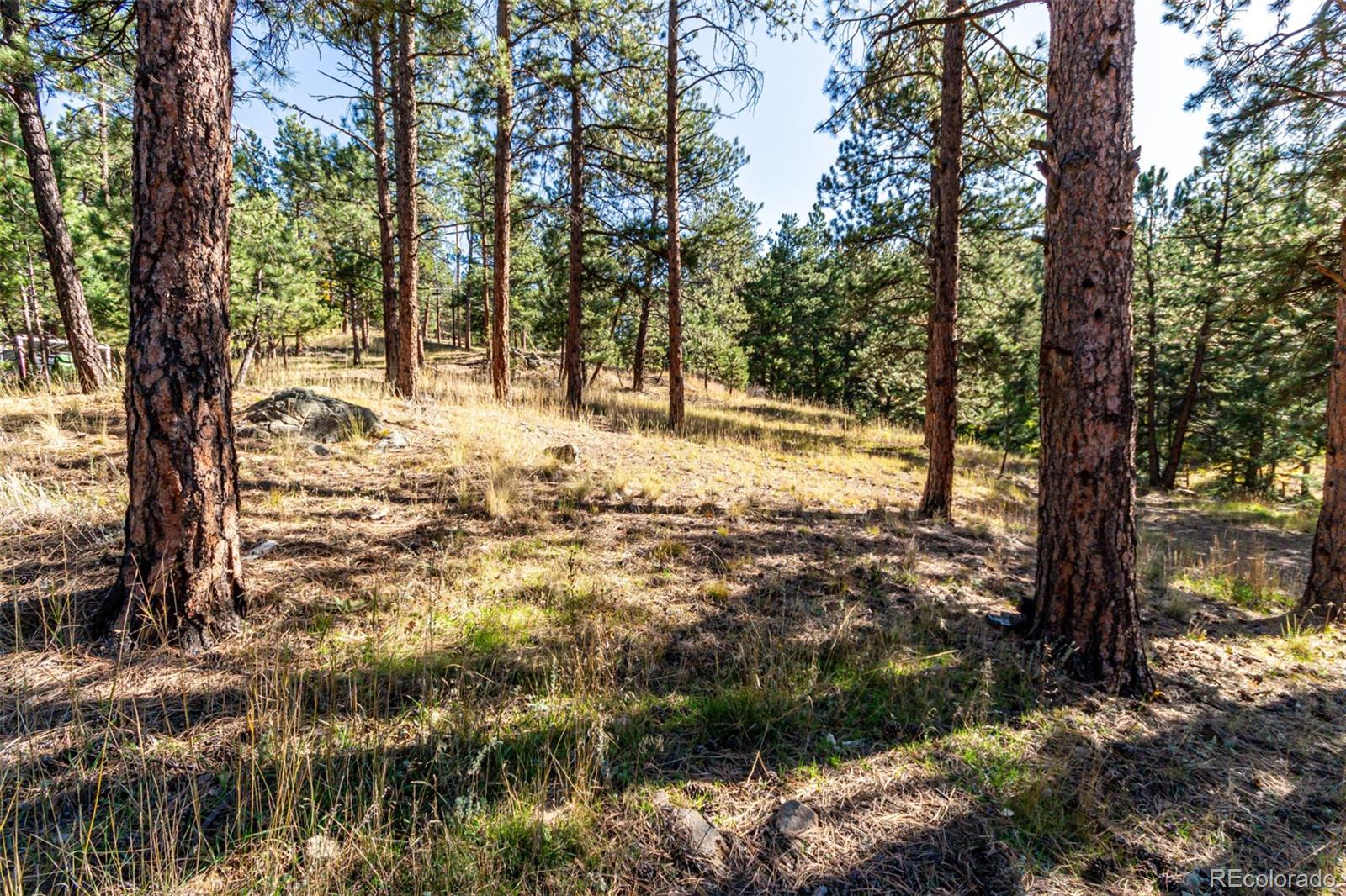 27406 Mountain Park Road Evergreen, CO 80439 - Photo 4 of 16