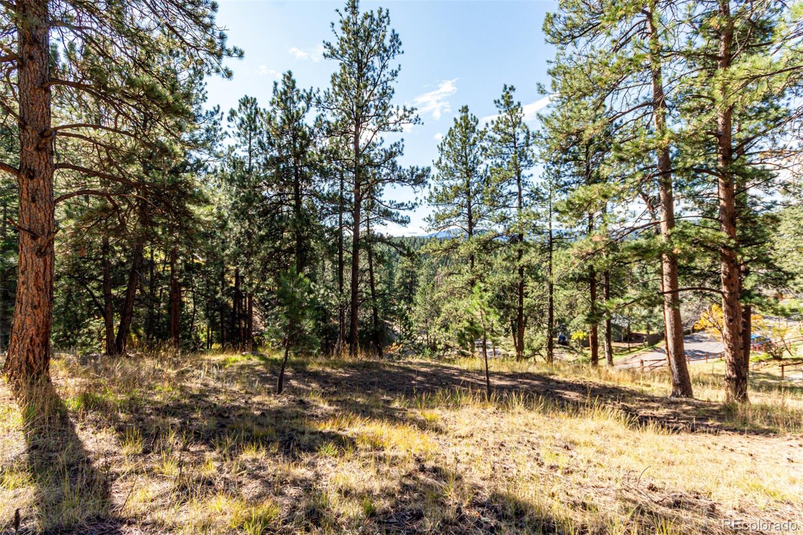 27406 Mountain Park Road Evergreen, CO 80439 - Photo 5 of 16