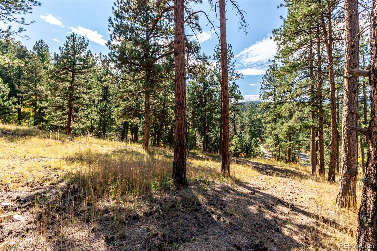 27406 Mountain Park Road Evergreen, CO 80439 - Photo 6 of 16