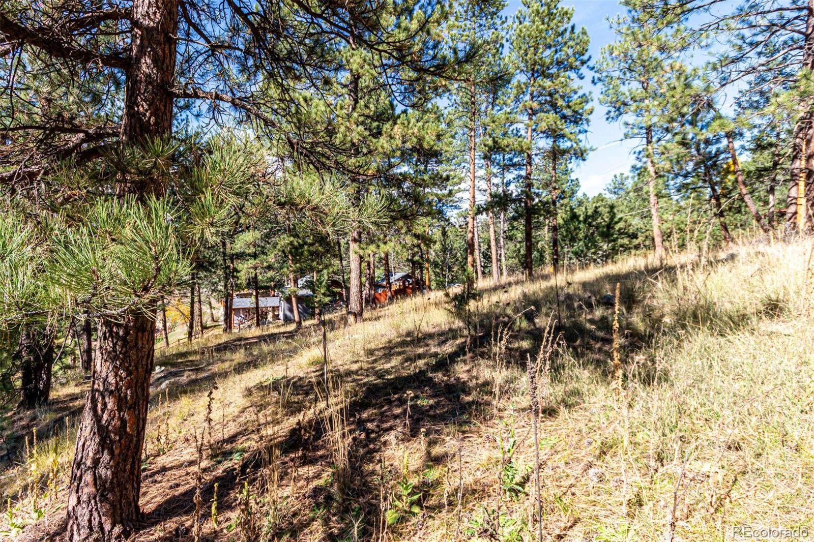 27406 Mountain Park Road Evergreen, CO 80439 - Photo 7 of 16
