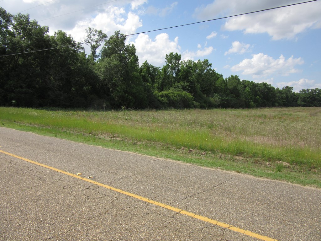 0 Baxter Road Ashford, AL 36312 - Photo 3 of 3