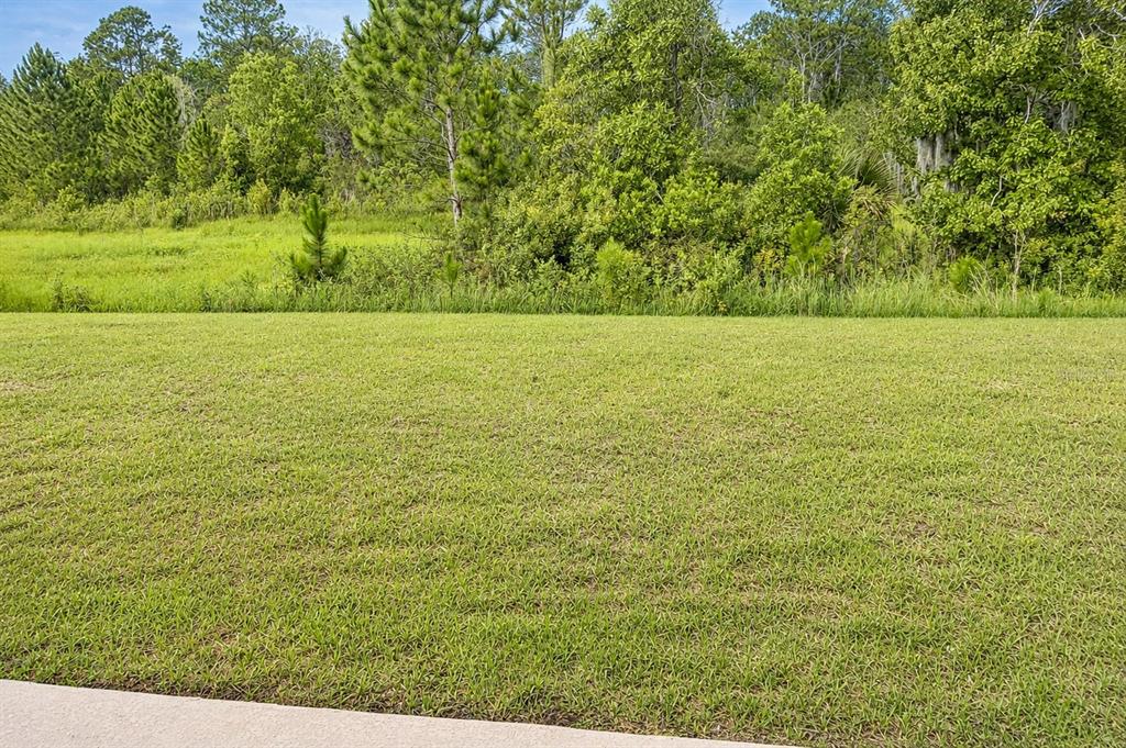 7592 Bent Tree Loop St. Cloud, FL 34773 - Photo 20 of 24