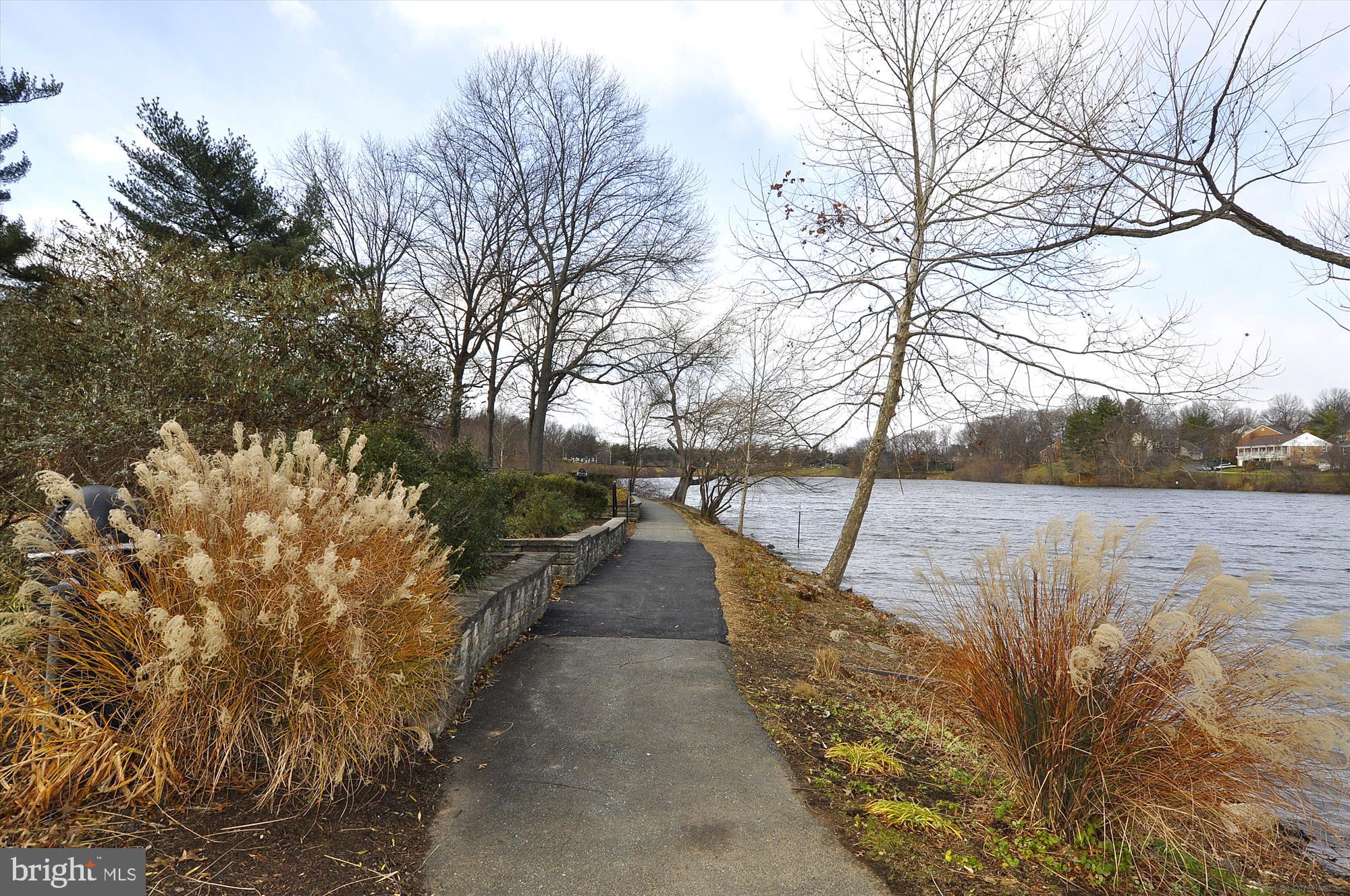 18801 Nathans Place Gaithersburg, MD 20886 - Photo 29 of 60 a view of a yard with large trees