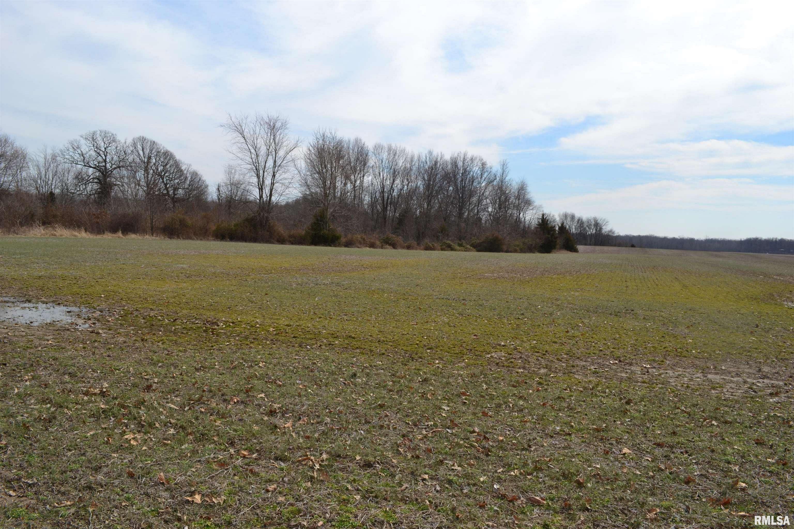 0 West Satch Road, Unit WEST Benton, IL 62812 - Photo 1 of 1 Gallery Image 1