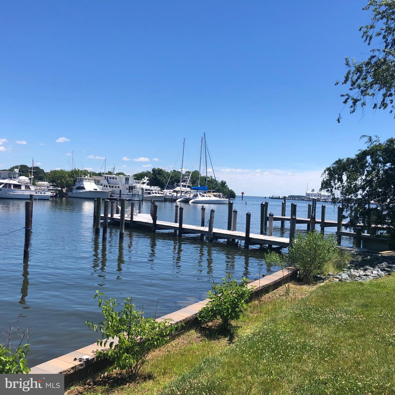14542 Solomons Island Road South Solomons, MD 20688 - Photo 40 of 43