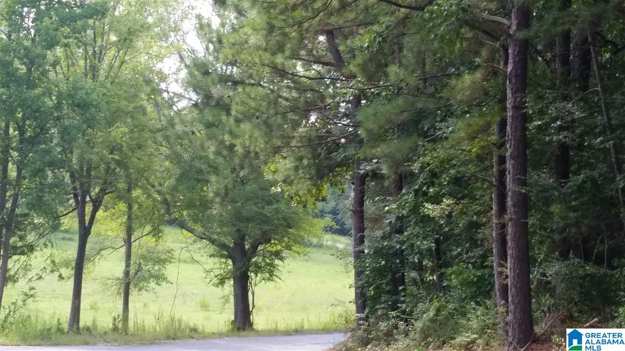 1885 Brooks Lake Road Lincoln, AL 35096 - Photo 18 of 30