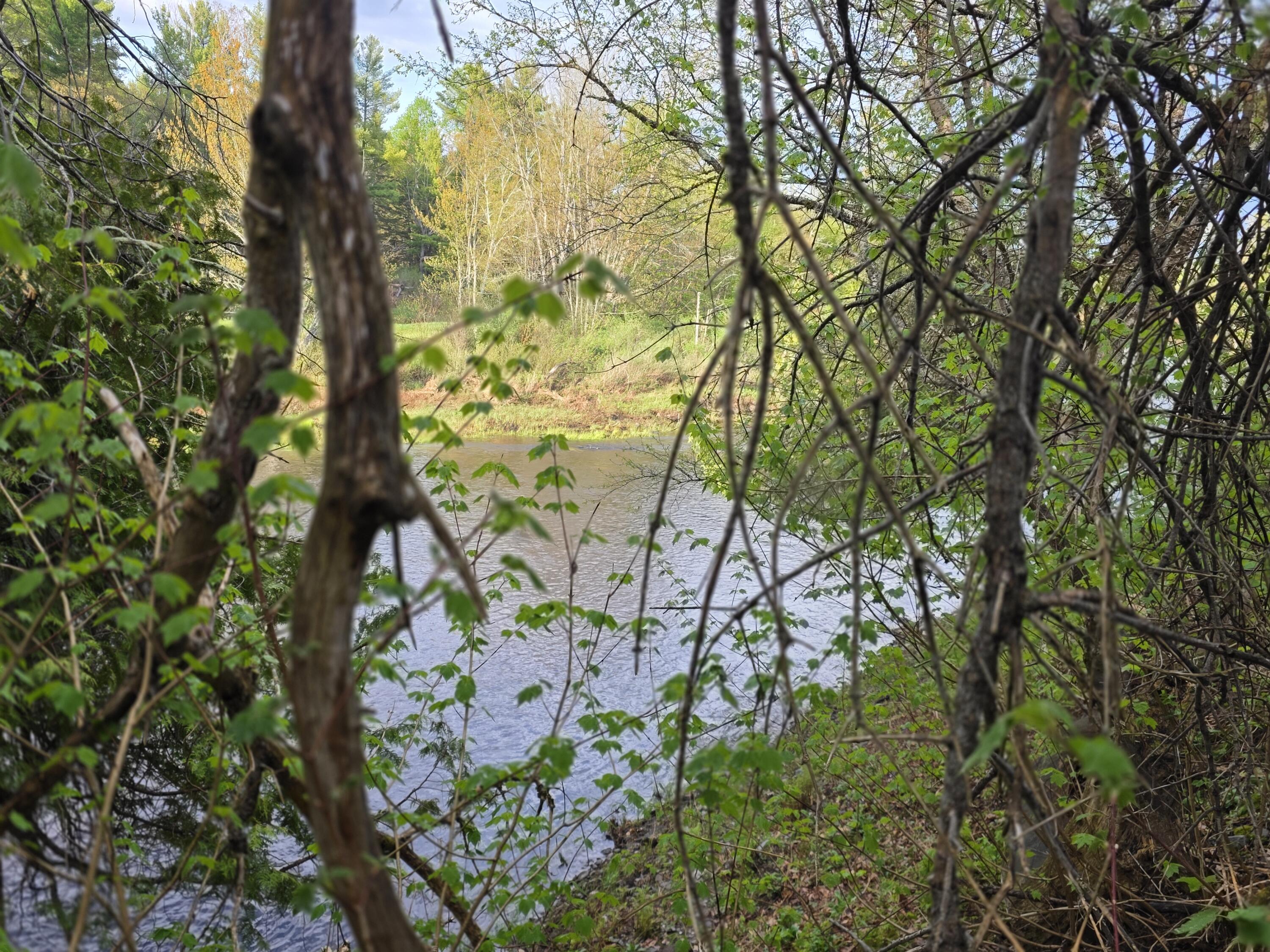 46 Harding Street Island Falls, ME 04747 - Photo 11 of 12 20260519_175807