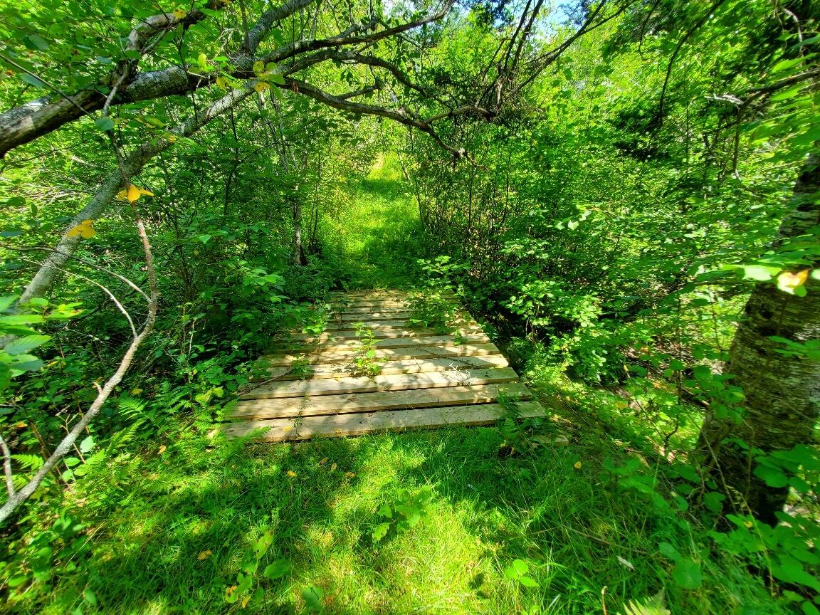 300 Village Road Steuben, ME 04680 - Photo 29 of 80 bridge behind garage