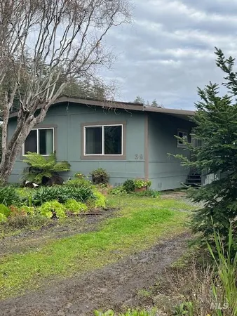 a backyard of a house with a garden and plants