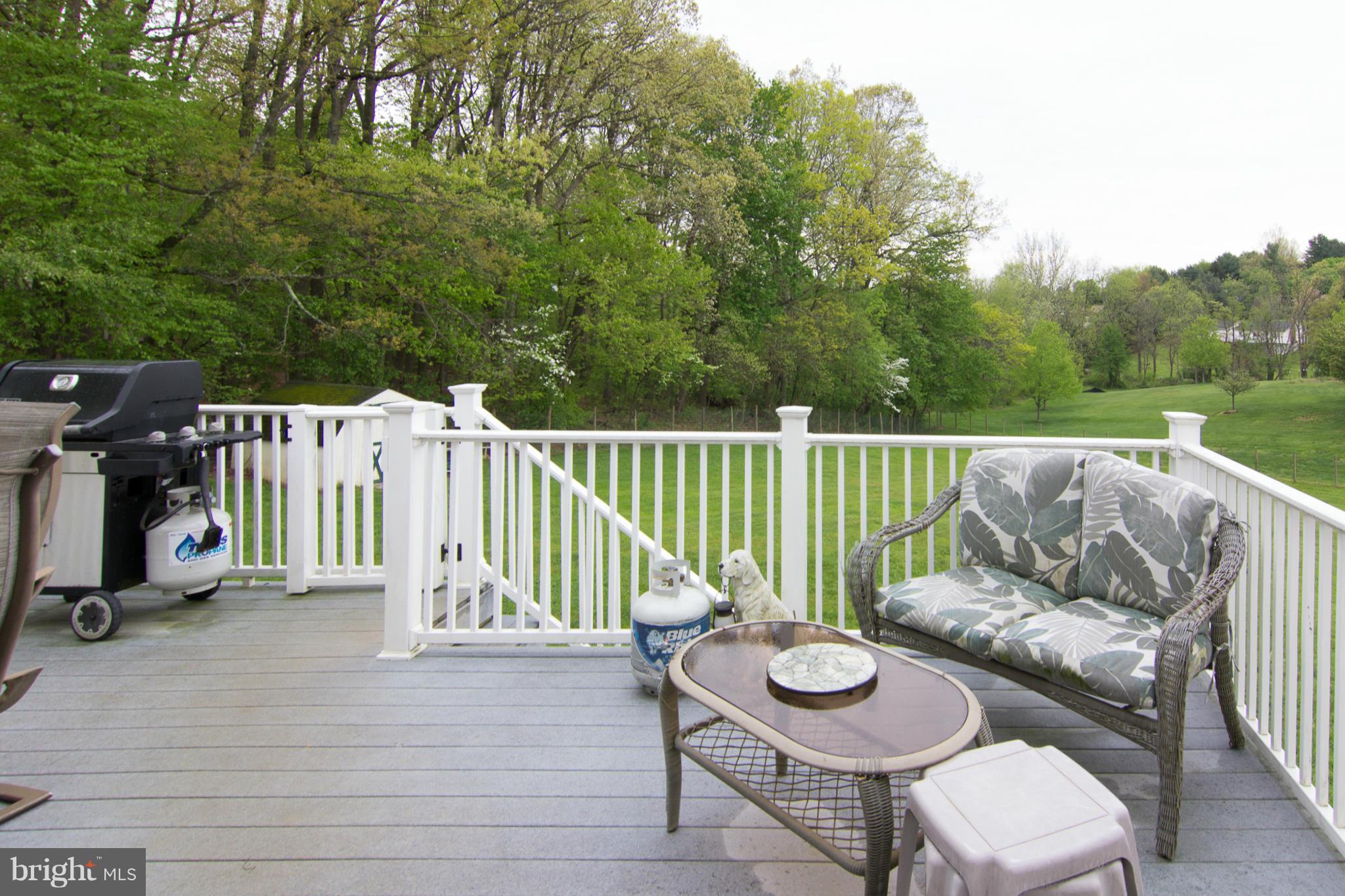 4627 Dave Rill Road Hampstead, MD 21074 - Photo 5 of 29 Exterior (General)
