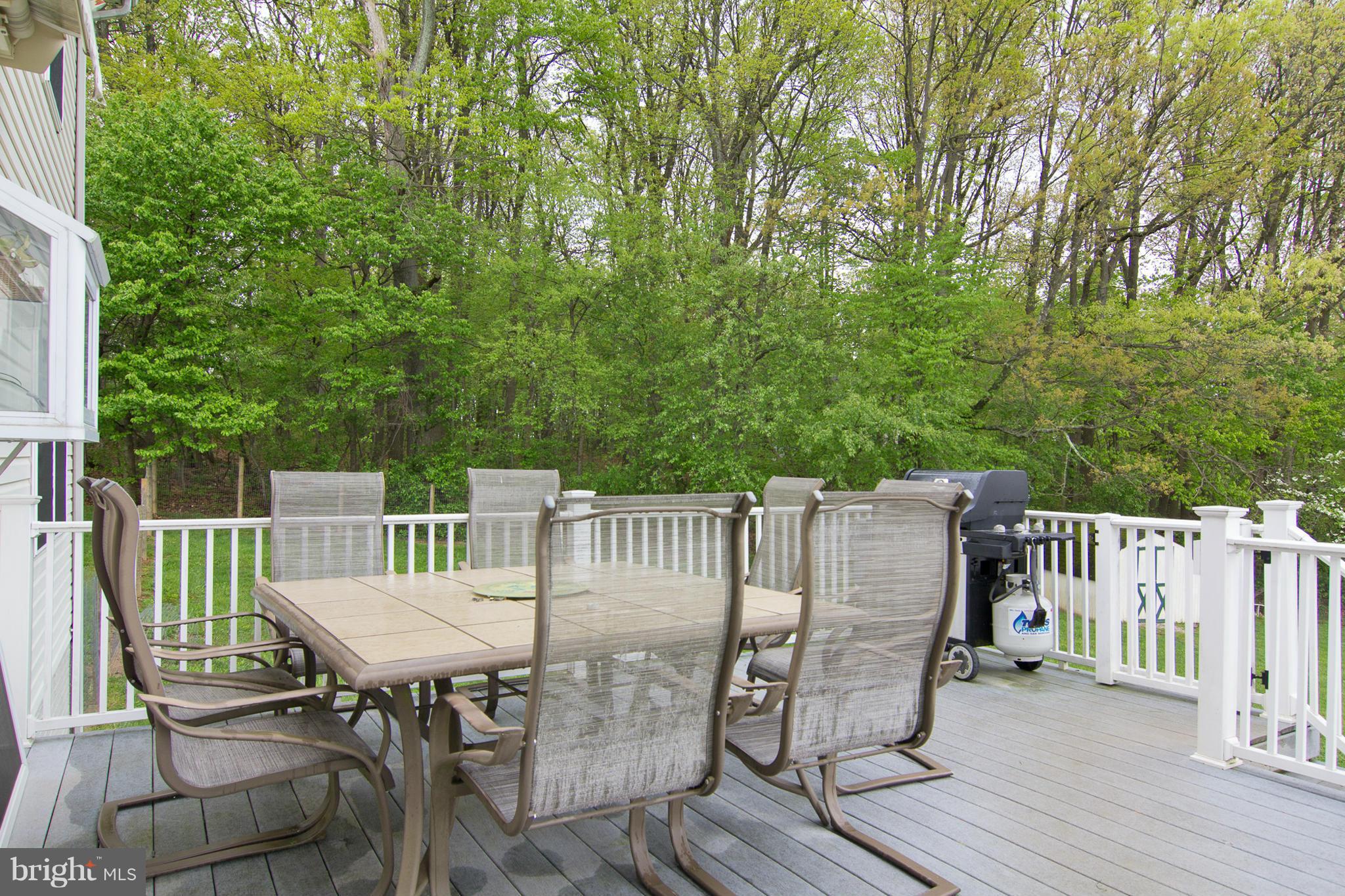4627 Dave Rill Road Hampstead, MD 21074 - Photo 8 of 29 Exterior (General)