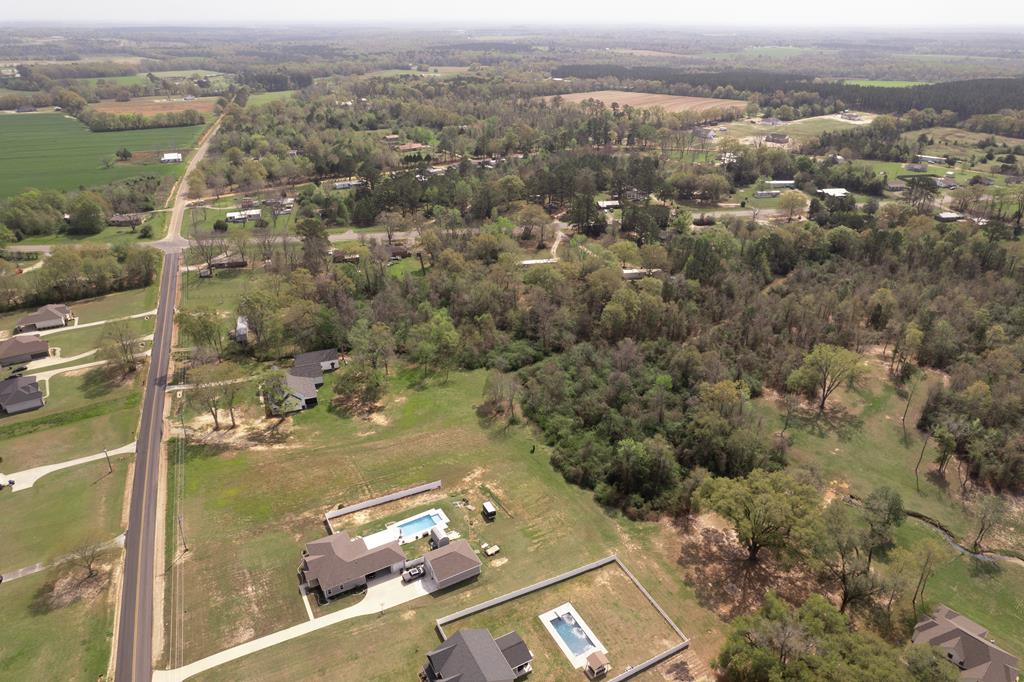 0 Skipper Road Dothan, AL 36301 - Photo 12 of 19