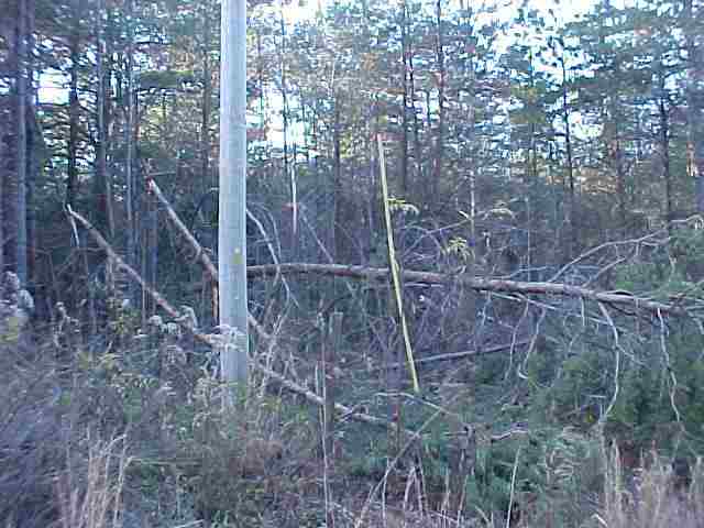 0 Adger Road, Unit 5 6 ACRES ON ADGER ROAD Easley, SC 29642 - Photo 3 of 3