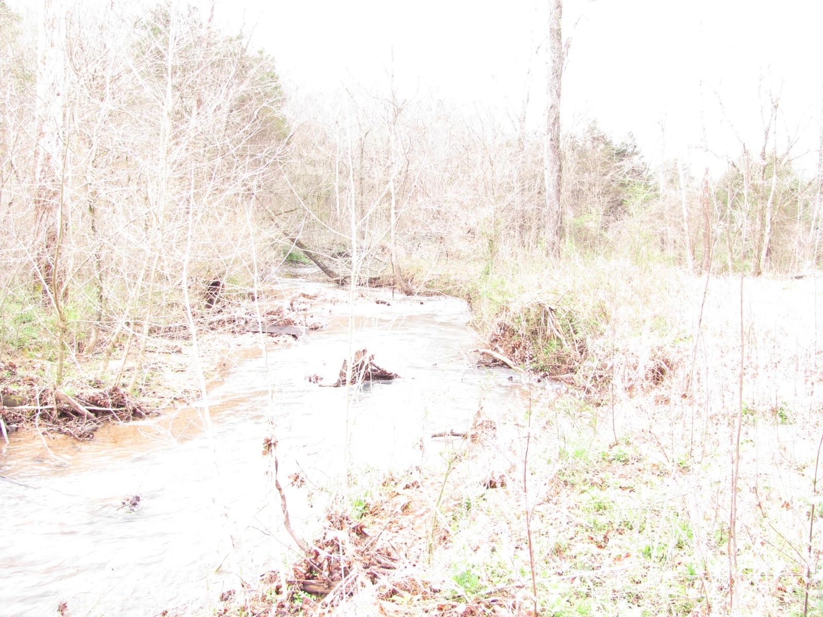 0 Cave Branch Road Vanleer, TN 37181 - Photo 11 of 15 Gallery Image 11
