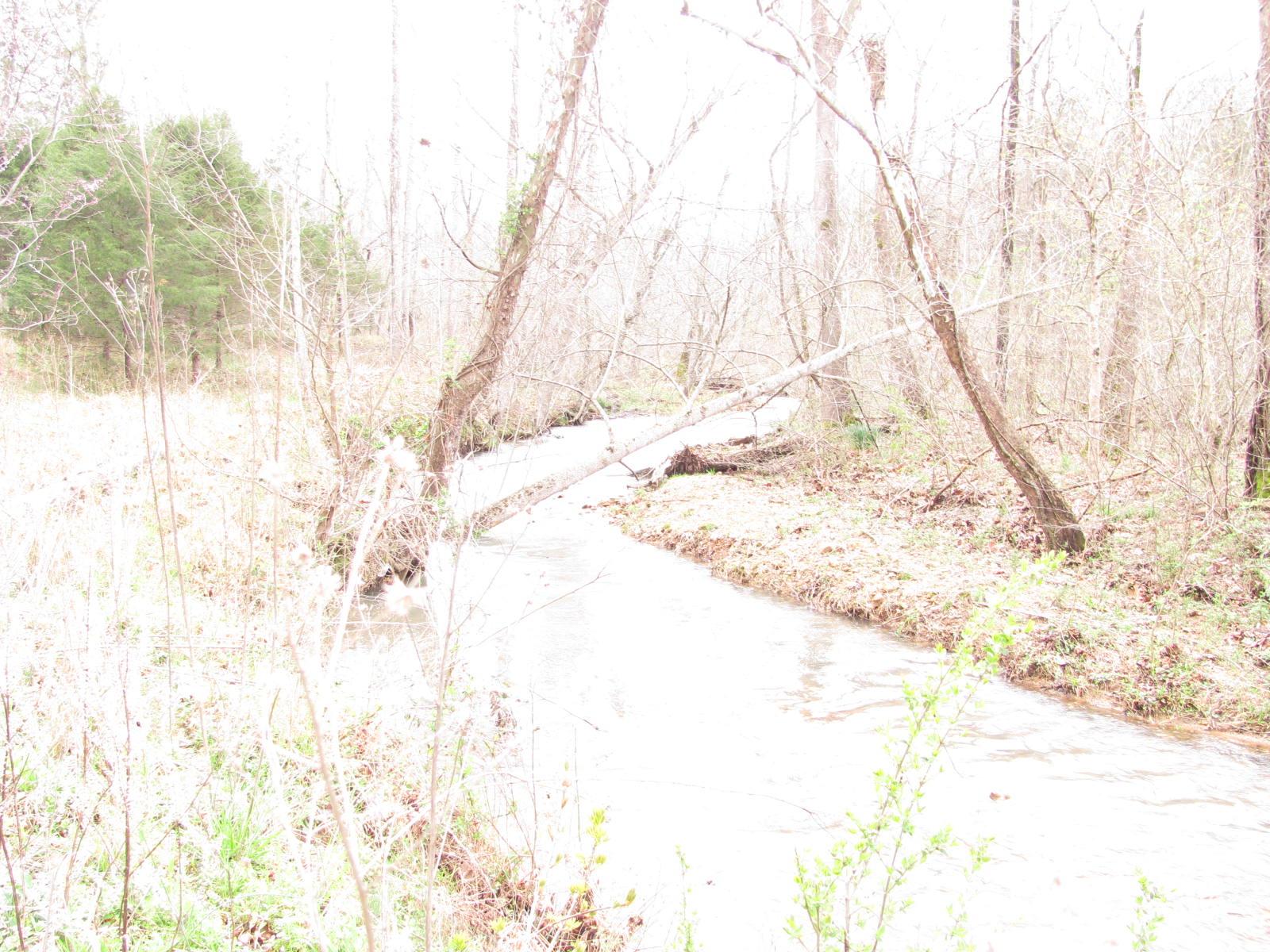 0 Cave Branch Road Vanleer, TN 37181 - Photo 12 of 15 Gallery Image 12
