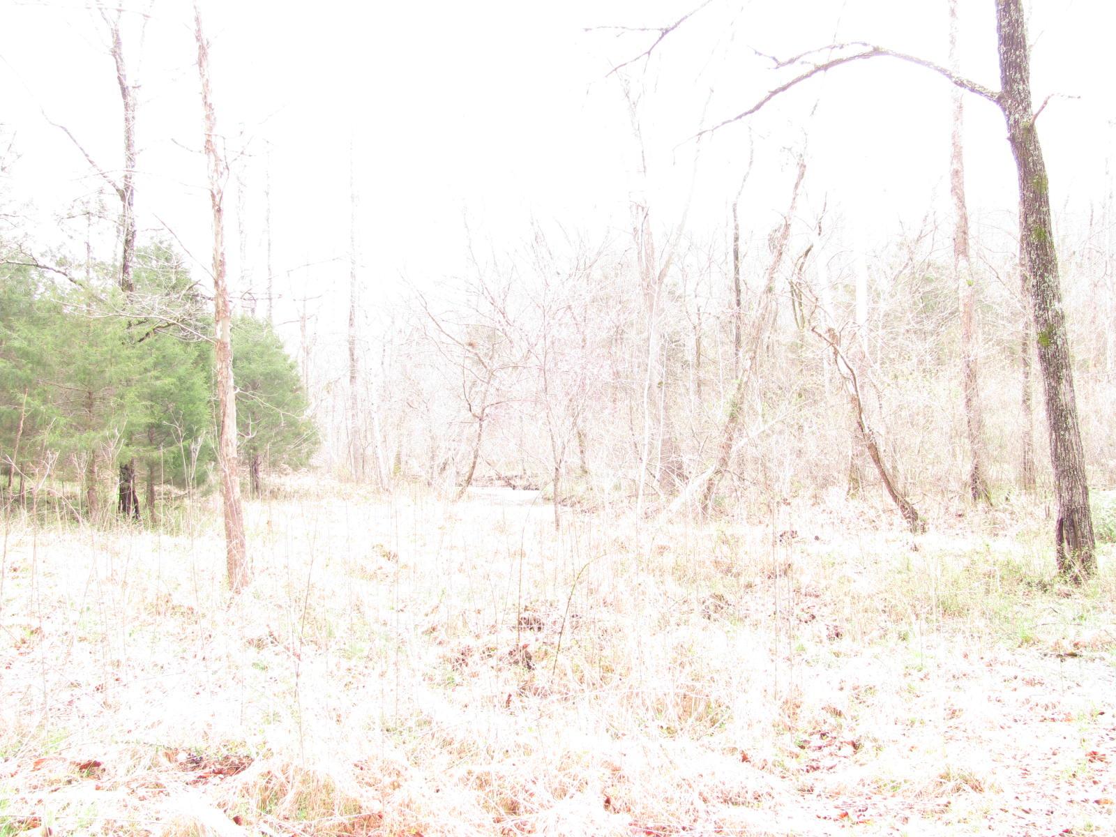 0 Cave Branch Road Vanleer, TN 37181 - Photo 15 of 15 Gallery Image 15