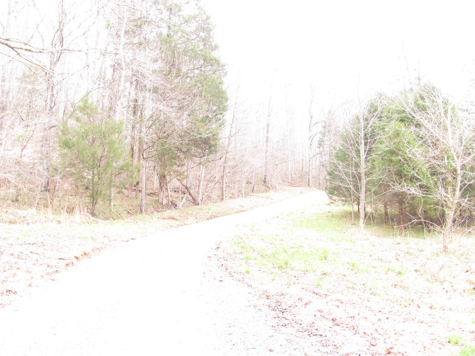 0 Cave Branch Road Vanleer, TN 37181 - Photo 5 of 15 Gallery Image 5