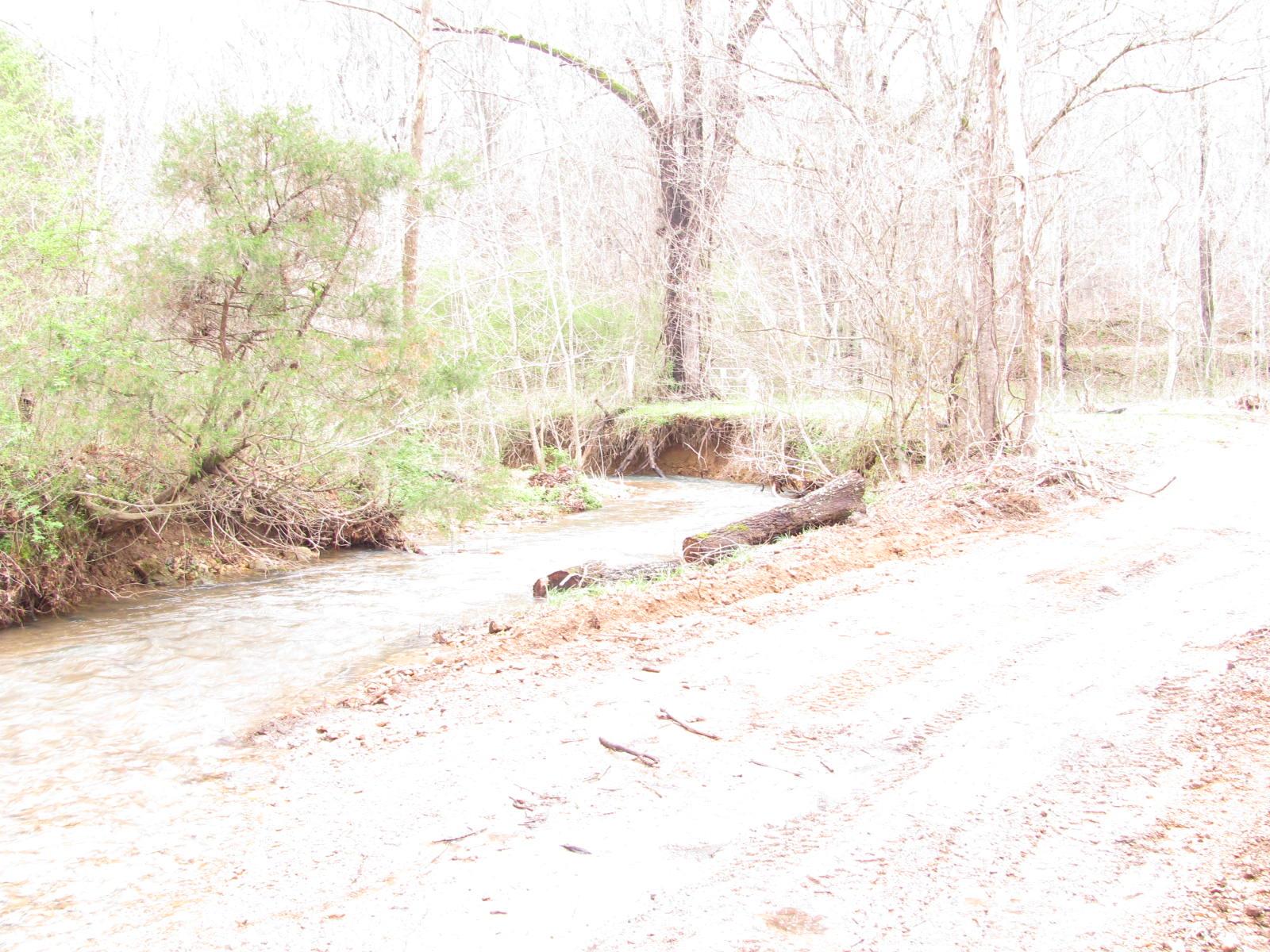 0 Cave Branch Road Vanleer, TN 37181 - Photo 6 of 15 Gallery Image 6