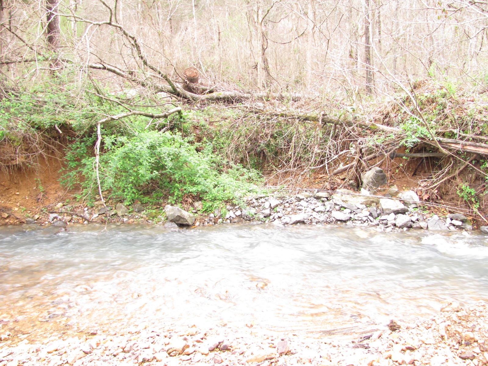 0 Cave Branch Road Vanleer, TN 37181 - Photo 7 of 15 Gallery Image 7
