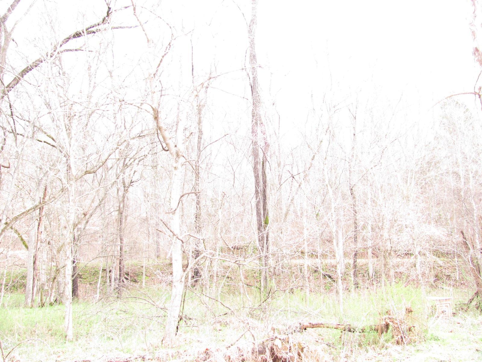 0 Cave Branch Road Vanleer, TN 37181 - Photo 10 of 15 Gallery Image 10