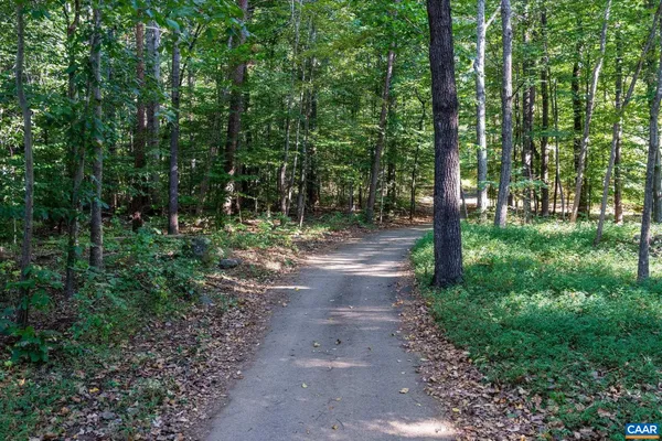 a big yard with lots of green space and trees