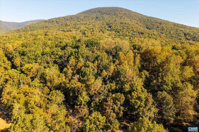 a view of a lush green field