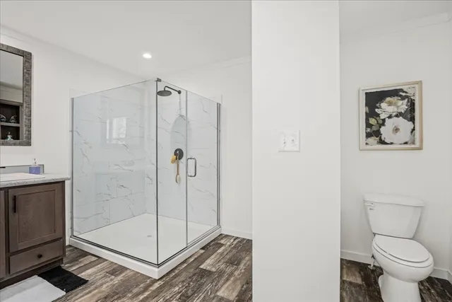a bathroom with a shower and toilet