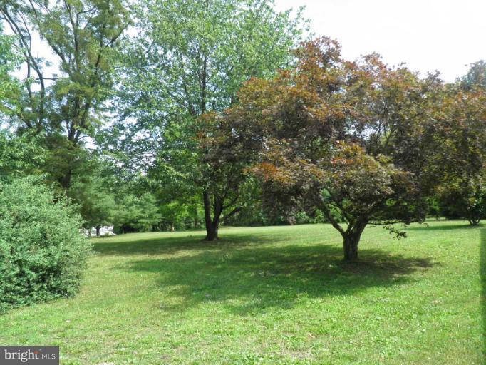 166 Bennett Berkeley Springs Berkeley Springs, WV 25411 - Photo 25 of 27 a view of grassy field with benches