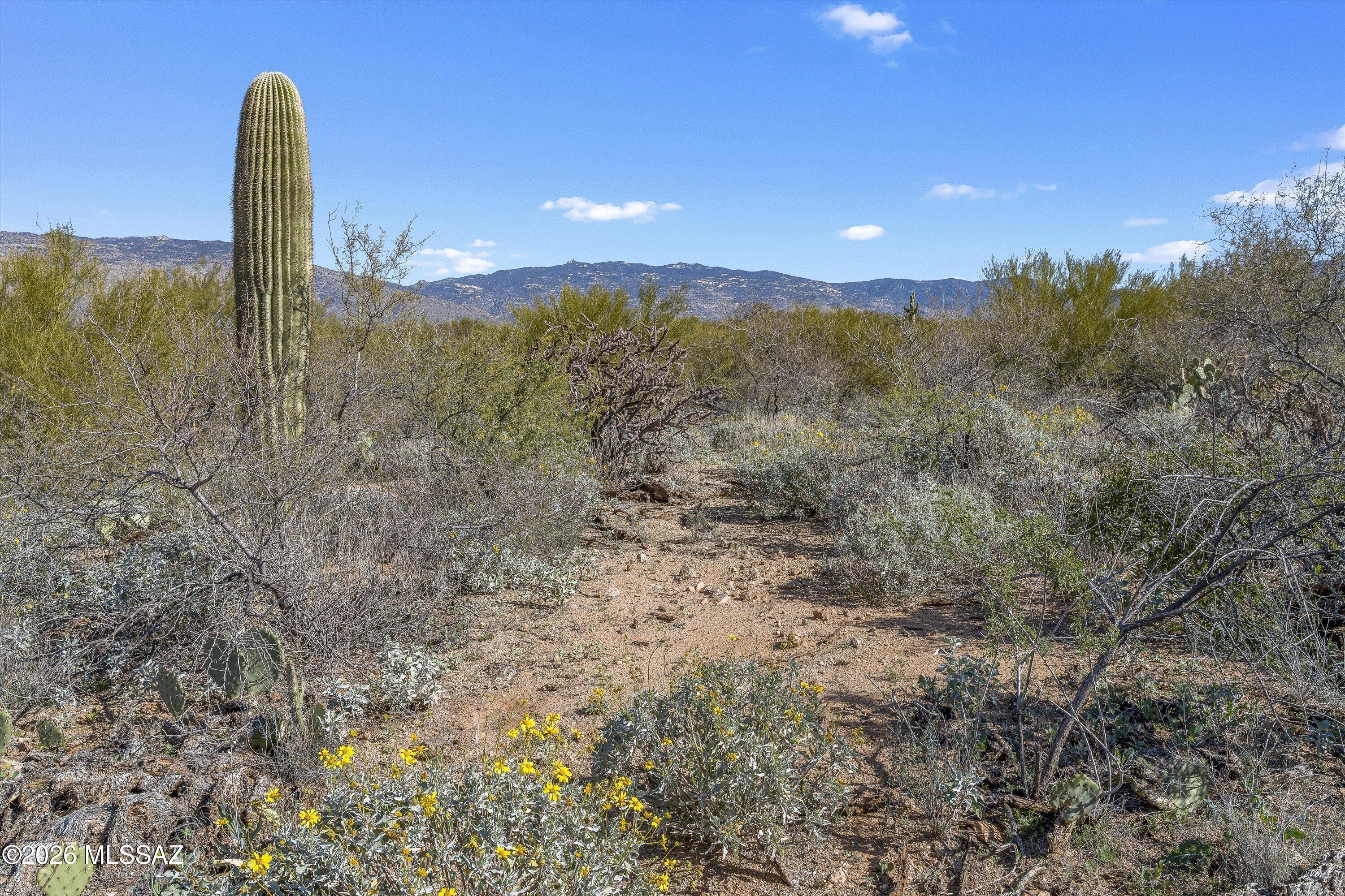 8293 South Tumbling Y Ranch Place, Unit 142 Vail, AZ 85641 - Photo 4 of 30