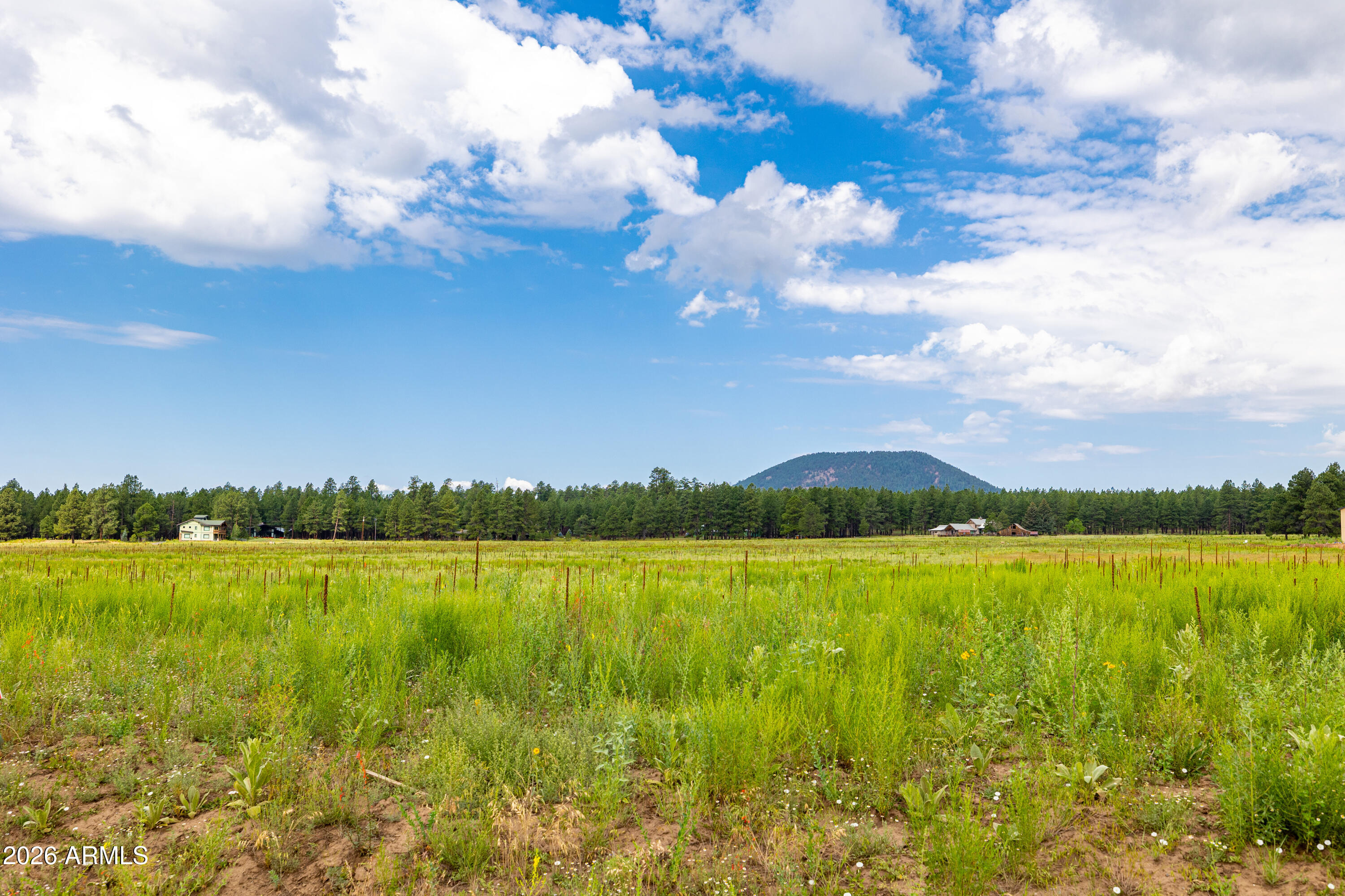 8914 Ranch At The Peaks Way, Unit 16 Flagstaff, AZ 86001 - Photo 6 of 25 a view of an ocean and yard