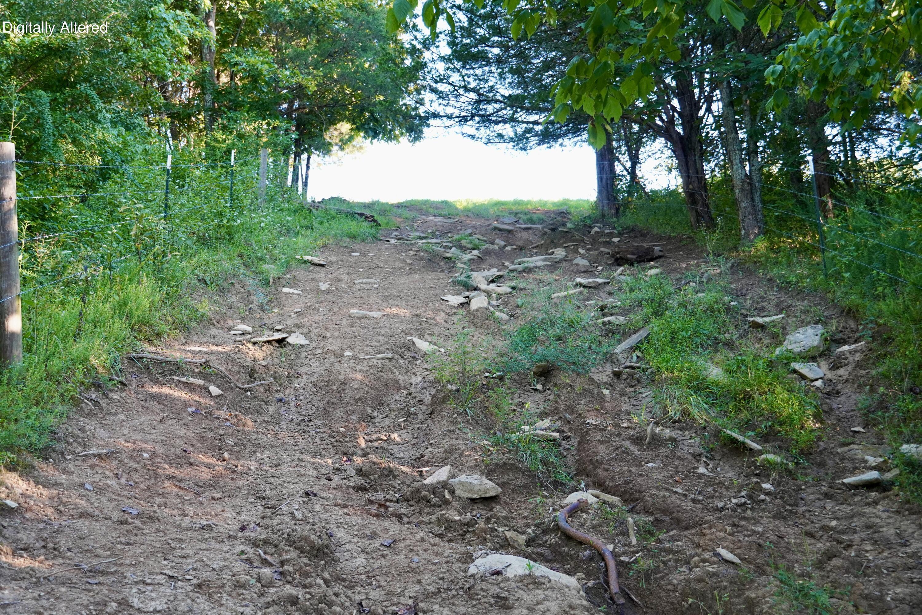 6265 Georgetown Road Owenton, KY 40359 - Photo 31 of 149 OWEN24084