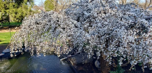 $479,000 | 316 Spring Garden Road, Milford, NJ 08848