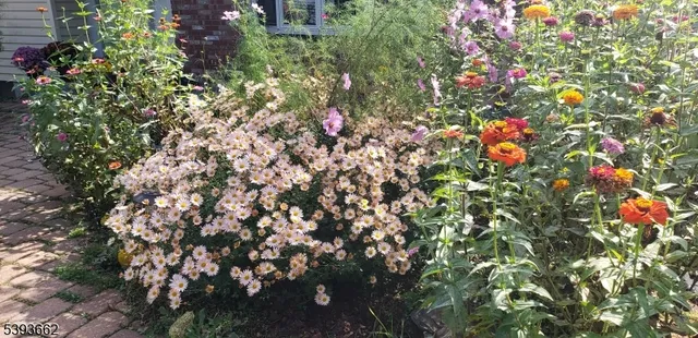 $479,000 | 316 Spring Garden Road, Milford, NJ 08848