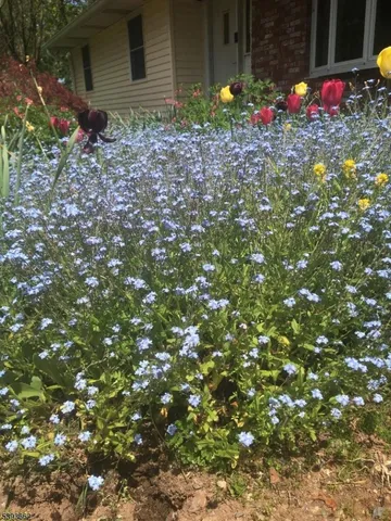 $479,000 | 316 Spring Garden Road, Milford, NJ 08848