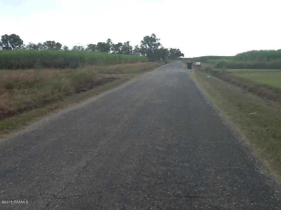 15262 Moss Road Erath, LA 70533 - Photo 7 of 7 MOSS RD ACREAGE