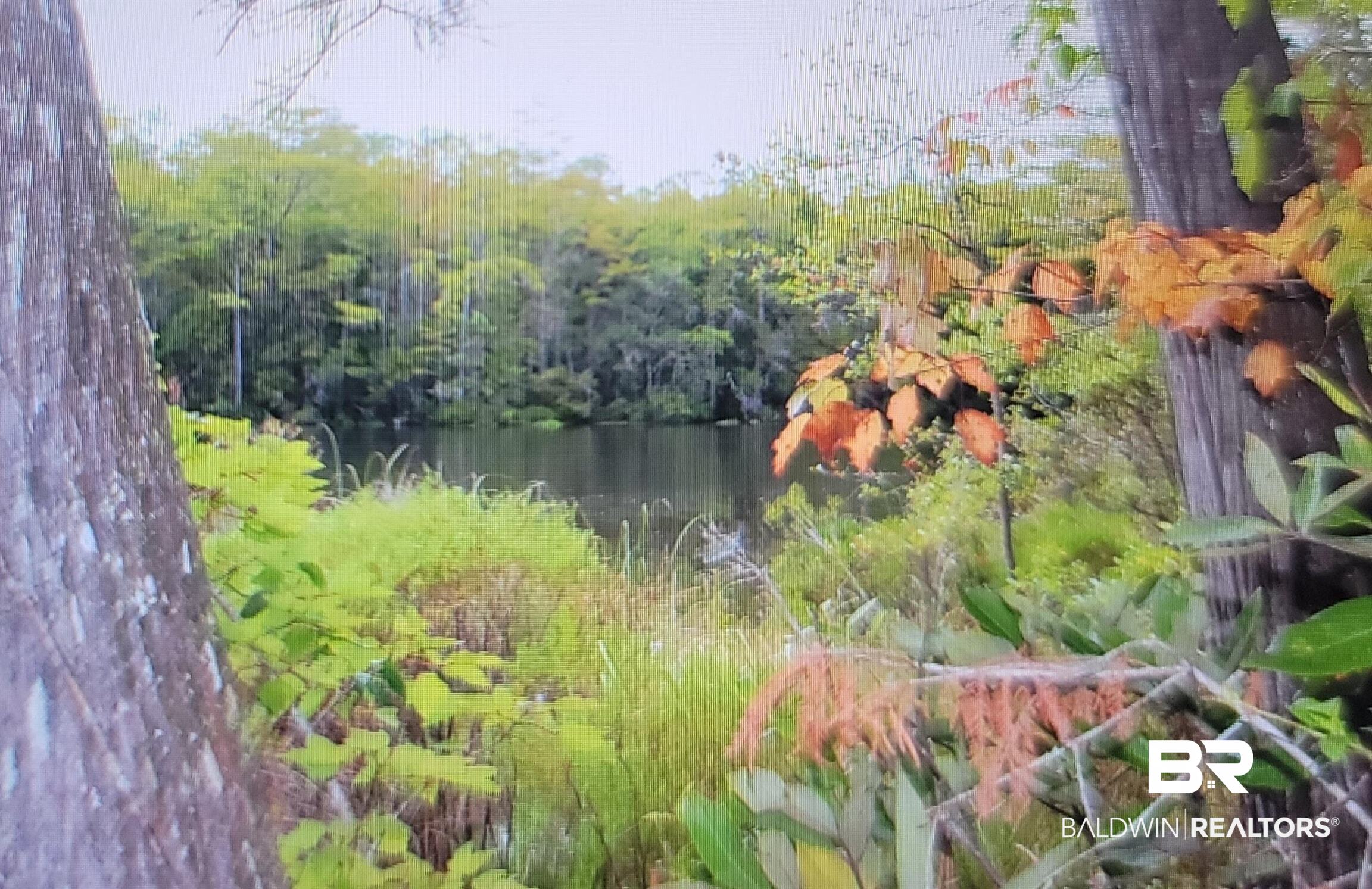 0 Juniper Road Seminole, AL 36574 - Photo 18 of 26