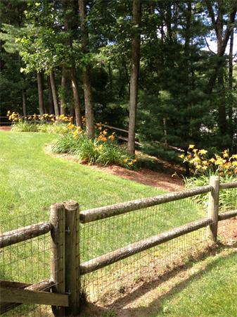 24 Juniper Road Franklin, MA 02038 - Photo 3 of 11 Gallery Image 3