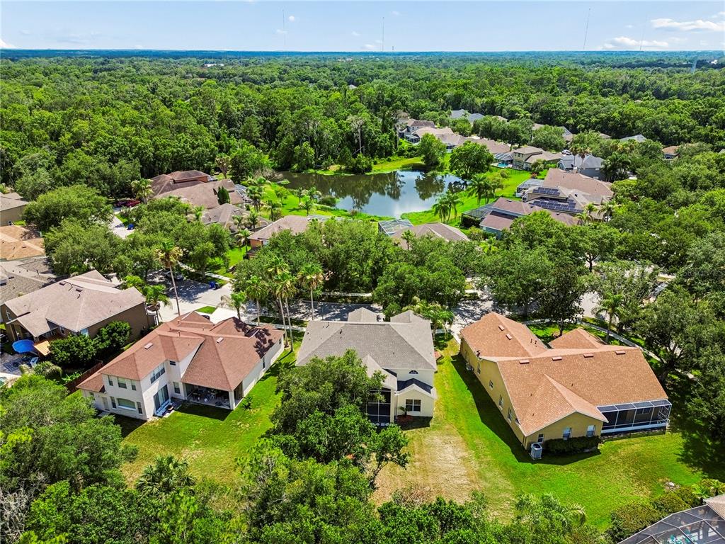 16936 Falconridge Road Lithia, FL 33547 - Photo 83 of 87