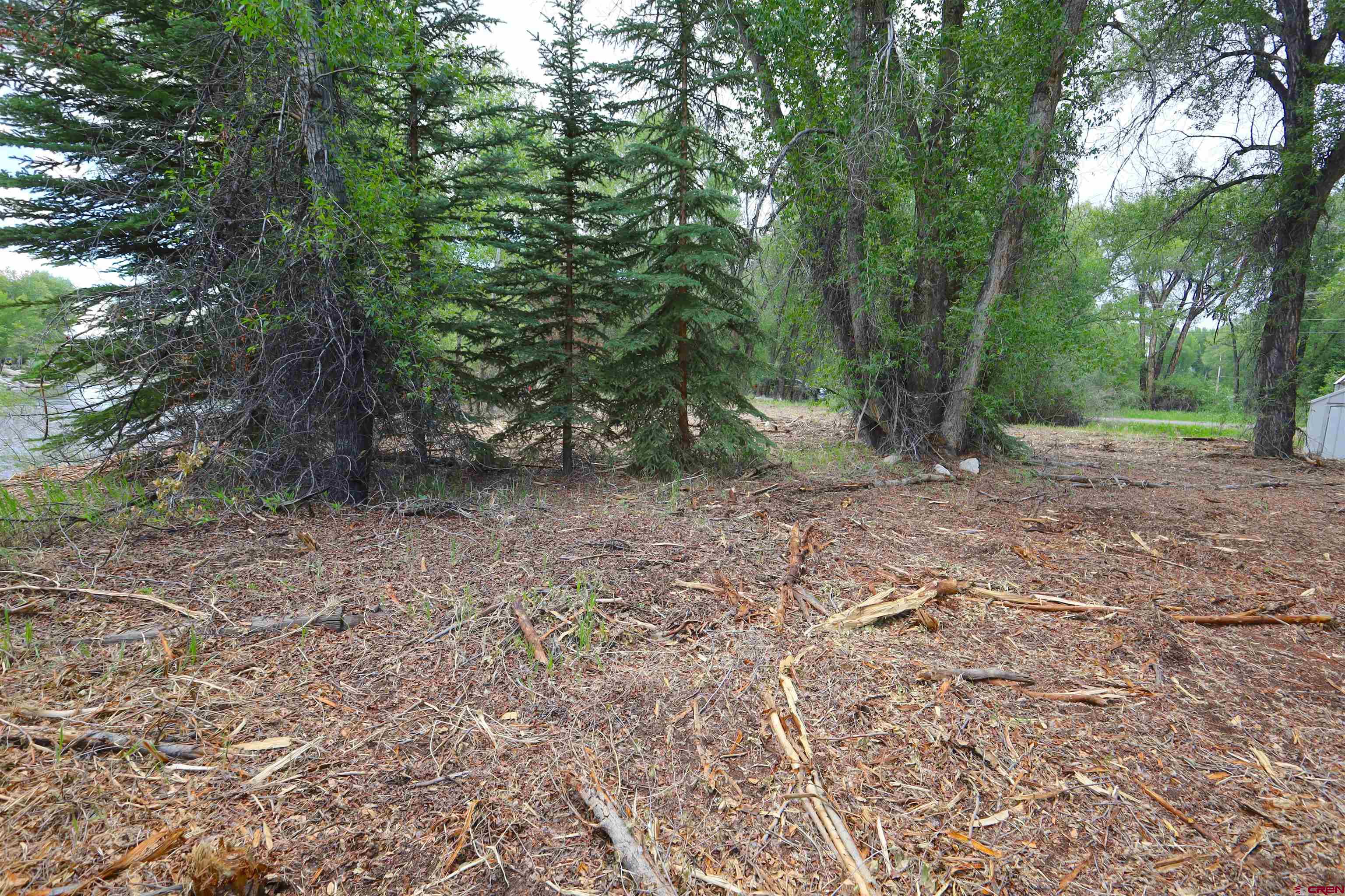 Tbd Rio Vista Road Gunnison, CO 81230 - Photo 22 of 43